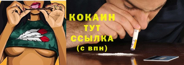 дживик Мегион