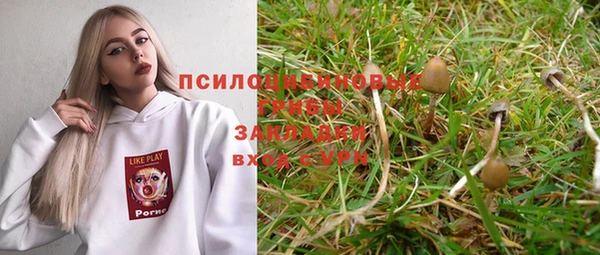 соль ск Михайлов