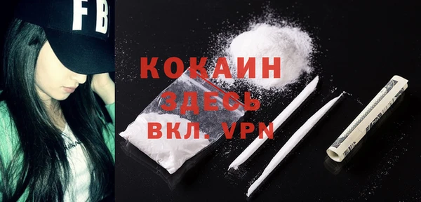 соль ск Михайлов