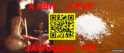 ALPHA PVP Гай