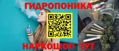ALPHA PVP Гай