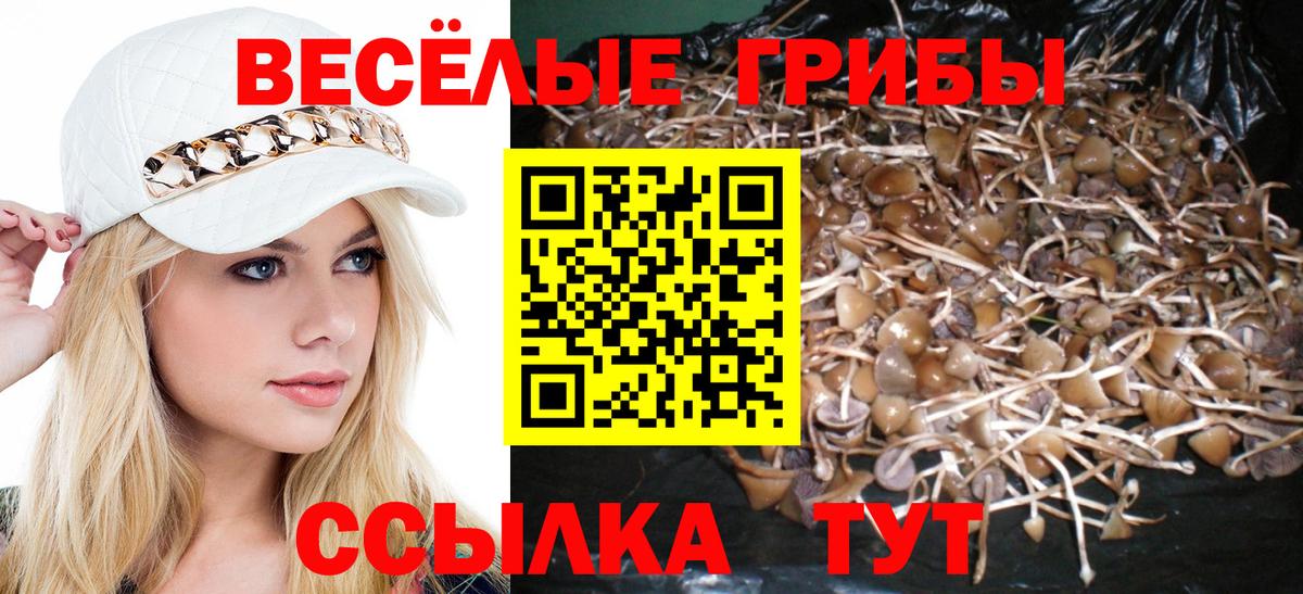 Псилоцибиновые грибы Psilocybine cubensis  Галлюциногенные грибы мицелий  Зерноград 